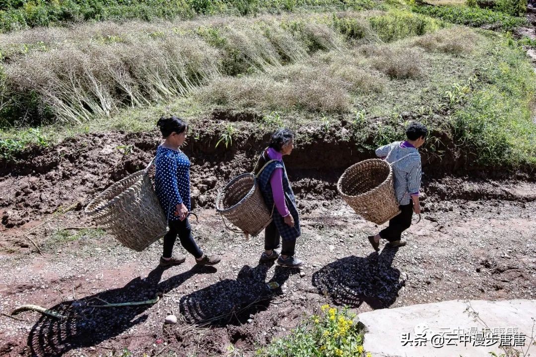 岳池坪滩风景区,行走的风景岳池