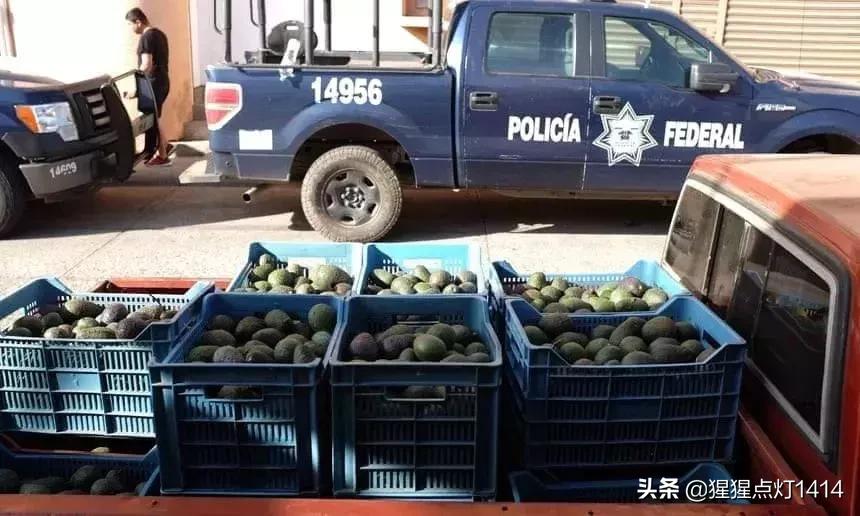 历史类｜黑道的堕落，是从大哥们卖水饺开始的。你知道为什么吗？