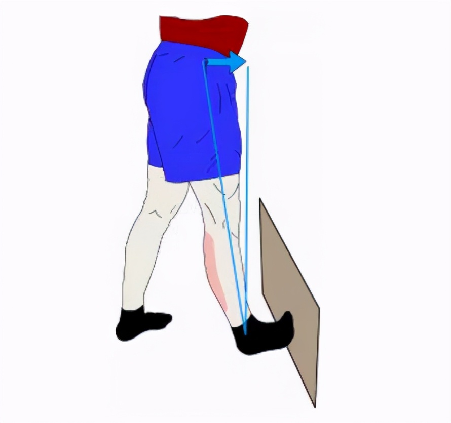 谈“骨”论“筋”|膝盖又疼了?来教你几个康复锻炼方法