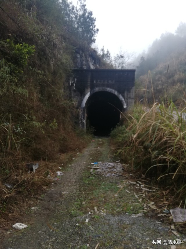 看到这个老铁路洞口,我莫名的伤心,童年的记忆都给我勾出来了