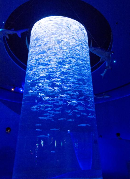 香港海洋公园门票多少钱,香港海洋公园门票价目表