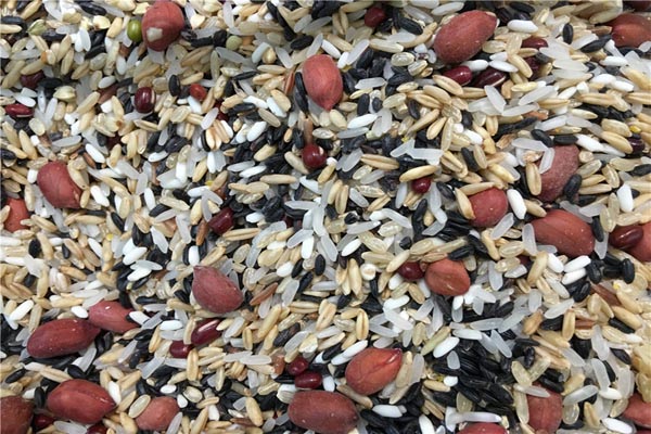 老年人消化不良产生口臭怎么治疗,老年人消化不良肚子胀气怎么办