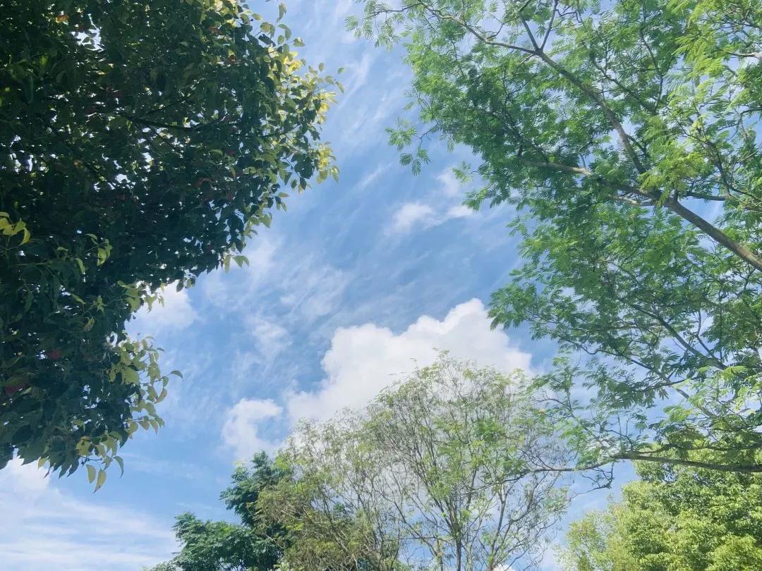 江苏省淮阴师范学院图片,江苏高校简介淮阴工学院