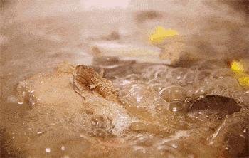 合肥手擀面馆排名前十名,合肥人气面馆推荐