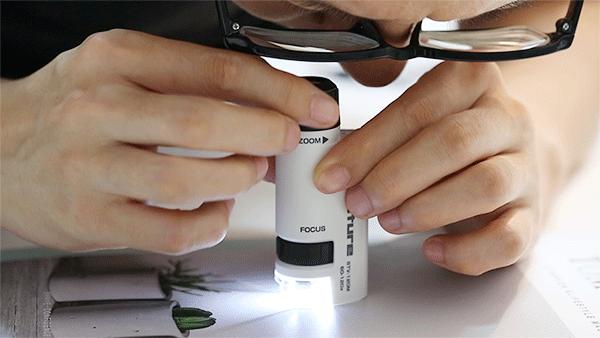 香港美女生物学家：破译人体大脑密码，让老年痴呆症治疗成为可能