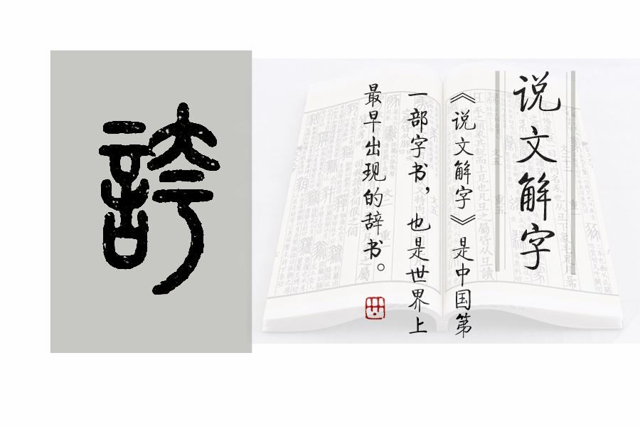 说文解字第504课,说文解字54部首视频全集