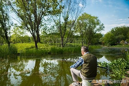 江钓肥鱼方法技巧,肥水钓鲫鱼怎么钓