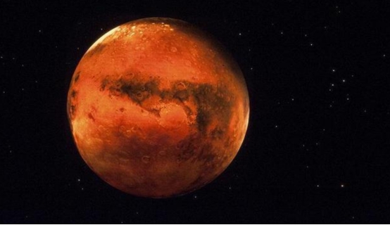 印度神秘的怪异生物,印度发现奇特的生物众人围观