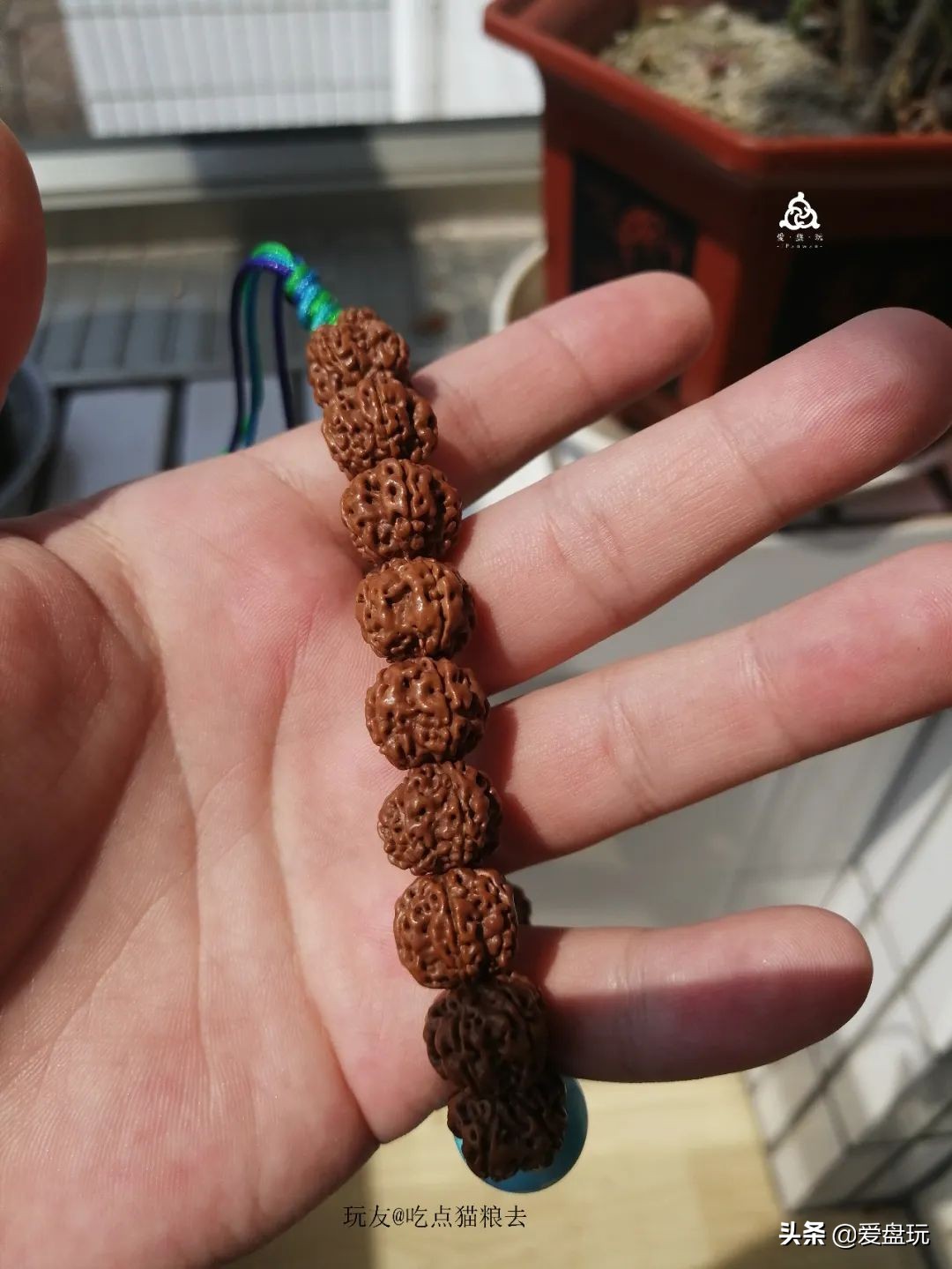 什么叫穷玩？手串超过300块，算我输！