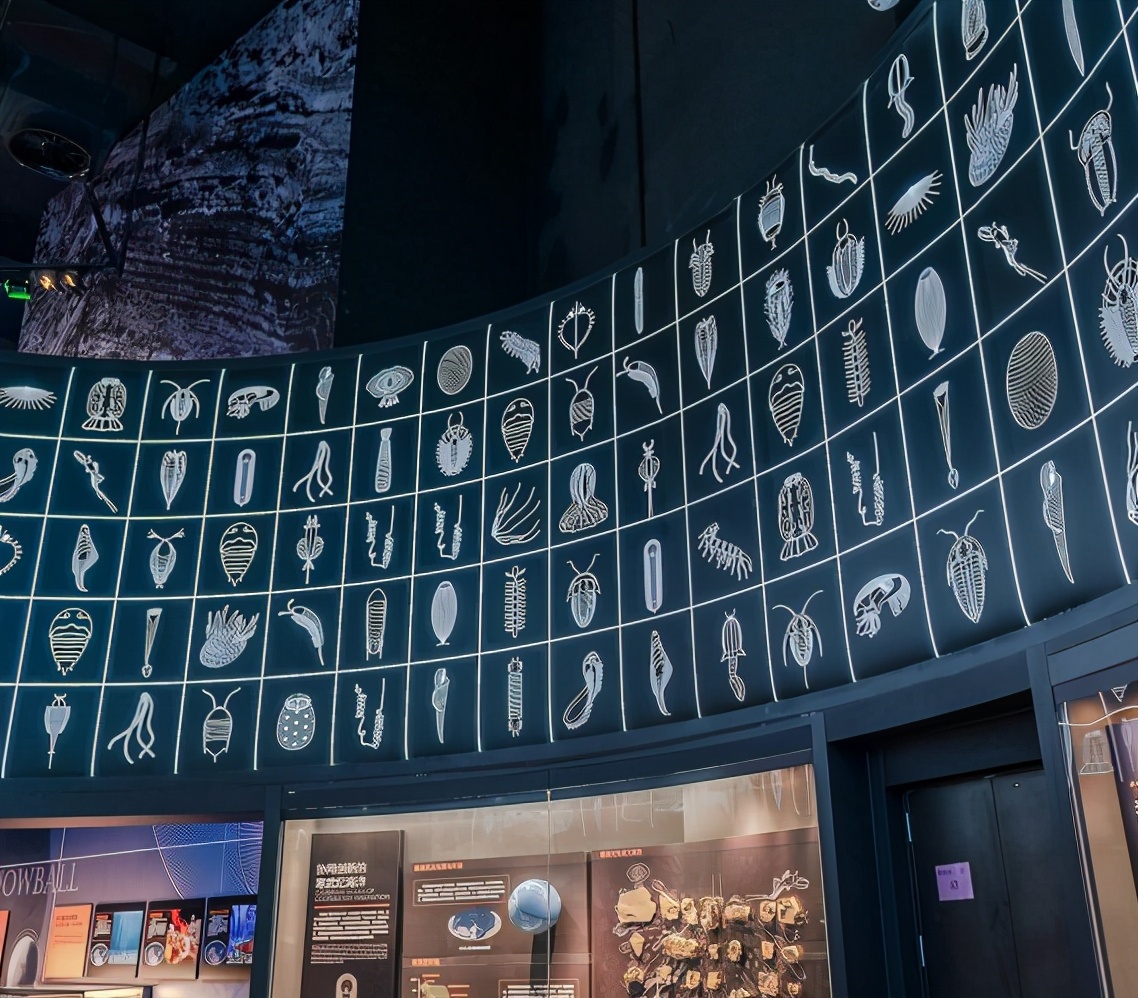 天津滨海新区必去的三大景点,滨海新区十大必去景点大亚湾