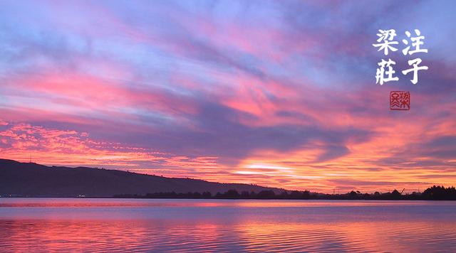 梁冬对话徐文兵肠道菌群,梁冬你的真正面目到底是什么