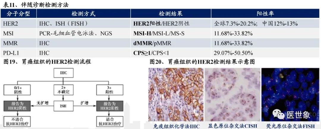 nccn指南胃癌的治疗方案,csco胃癌诊疗指南2023