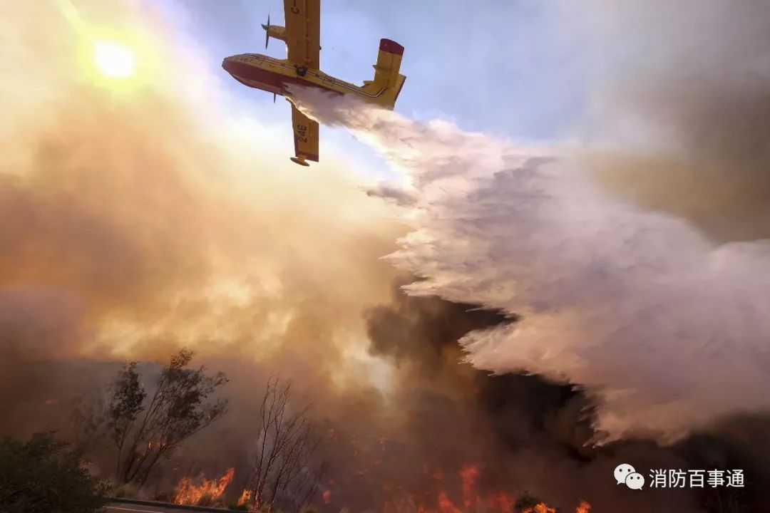 美国加州大火死了多少人,加州大火死多少人