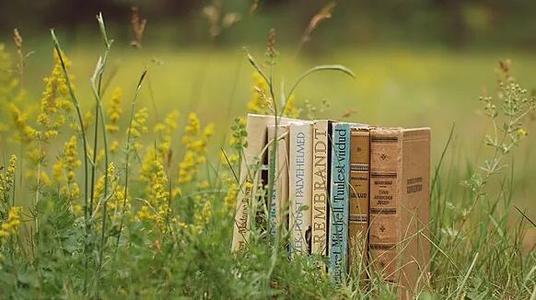 出书书号在哪办,香港书号个人出书最低费用