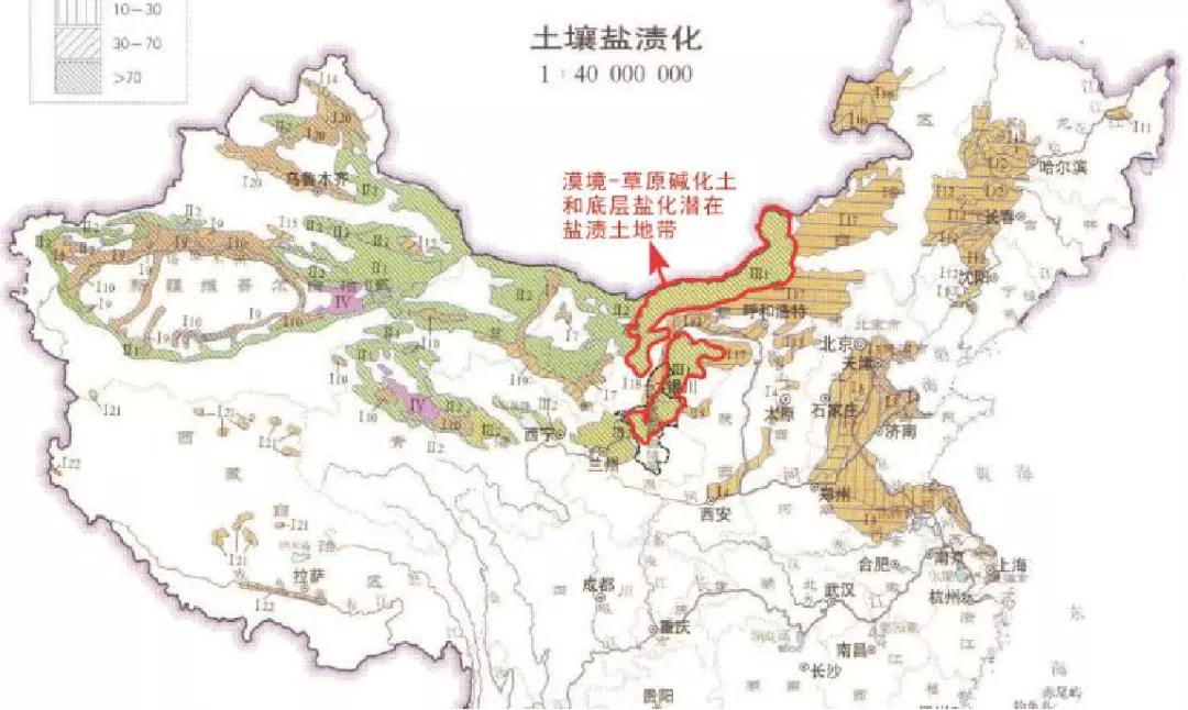 宁夏盐池滩羊怎么做好吃,盐池滩羊和山羊哪个好吃