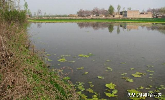 西安古村航拍,西安灞桥区古村