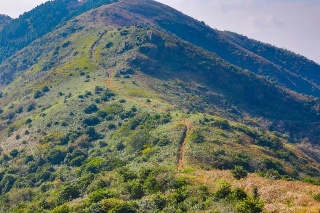 北仑凤凰山森林步道从哪里开始,北仑十大免费景区八大坑森林步道