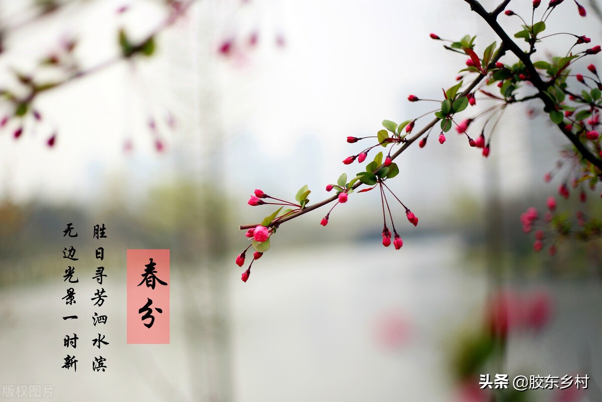 春分节气的民间习俗及禁忌,春分节气的习俗和禁忌