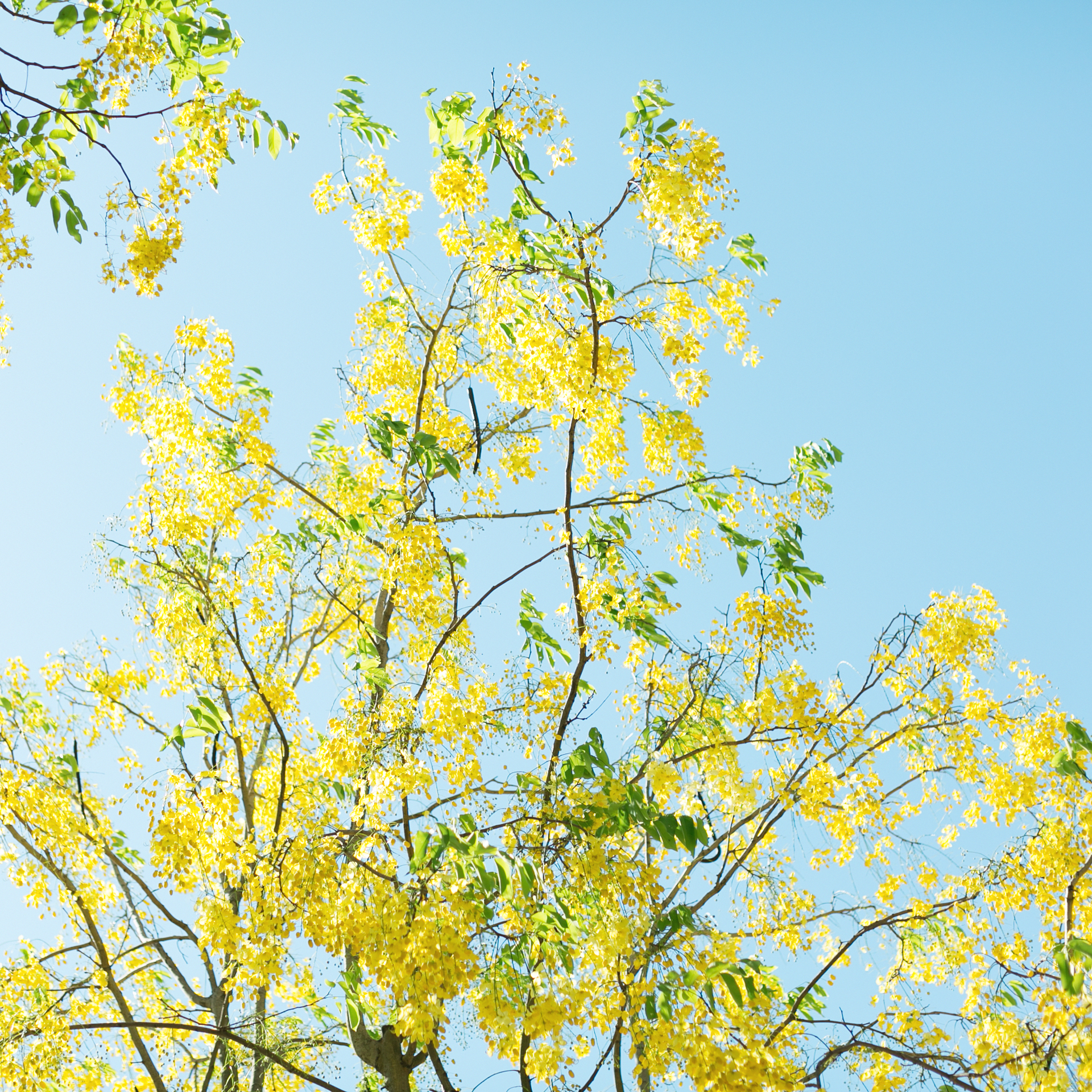 深圳海边摄影师约拍,深圳海边约拍摄影