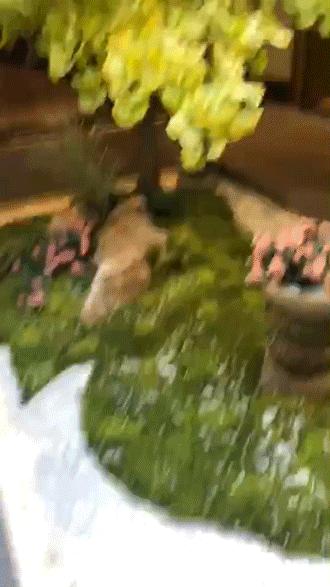 石家庄又添一新地标,石家庄西北二环新地标