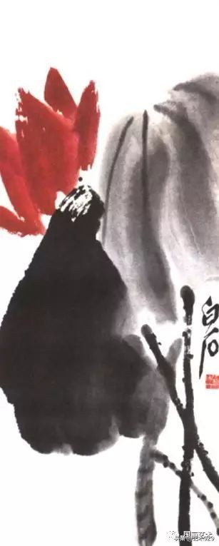 荷花的画法和步骤图解,最简单的荷花画法一学就会