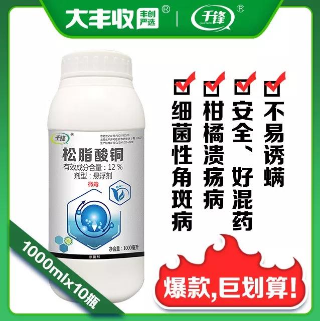 芒果幼果期出新梢怎么办,芒果挂果外皮有黑斑是什么原因