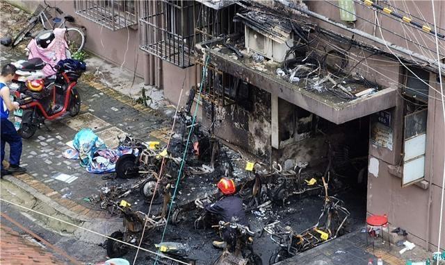 夺命玩具,夺命网红玩具