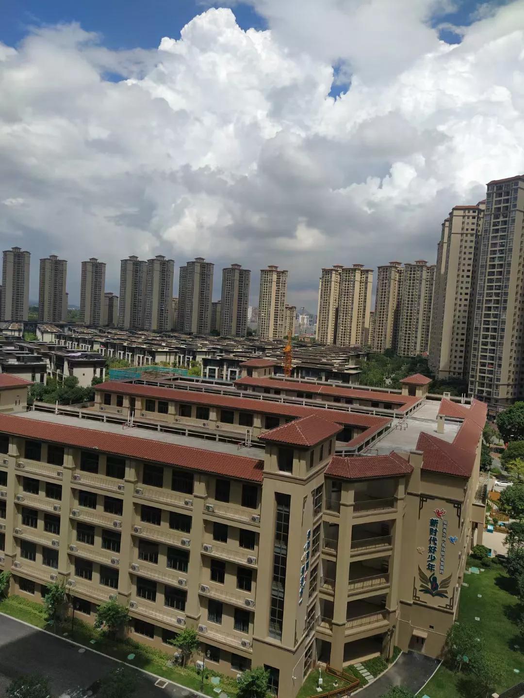 人在深圳全文免费阅读,深圳人在香港纪录片