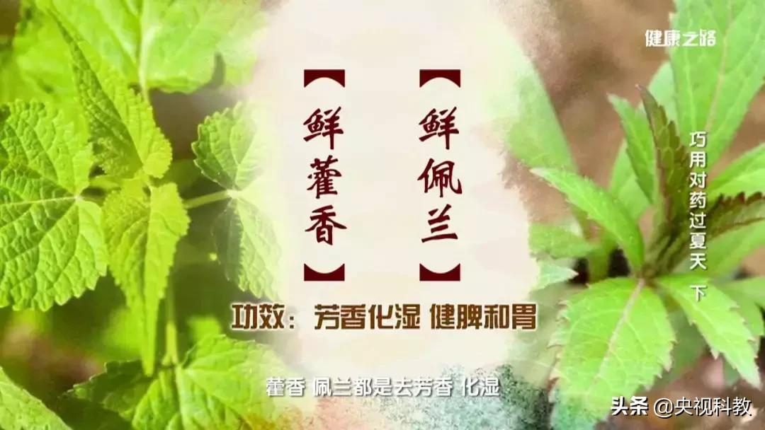 夏季贪凉是什么原因,受凉导致腹泻肚子疼最快缓解方法