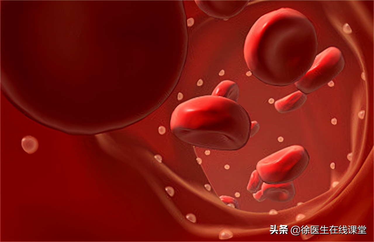 a型b型ab型o型哪种血型体质最好,血型有a型b型你知道我是什么型吗