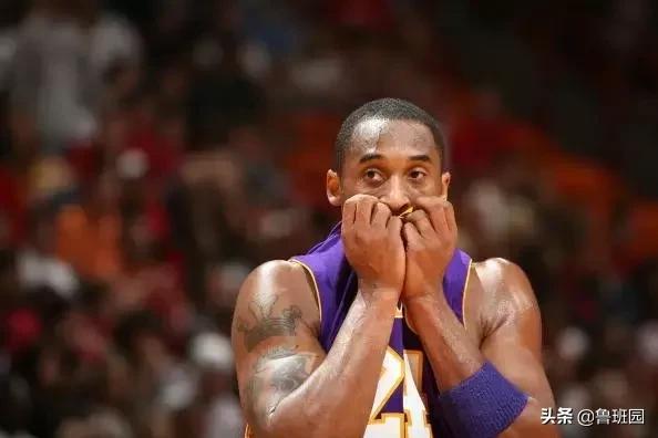 鱼鳔胶和猪皮胶哪个好,怎么区别鱼鳔胶的真假