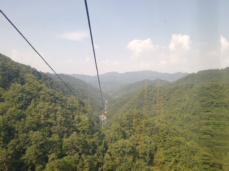 洛阳栾川竹海野生动物园值得去吗,洛阳栾川竹海野生动物园都有什么