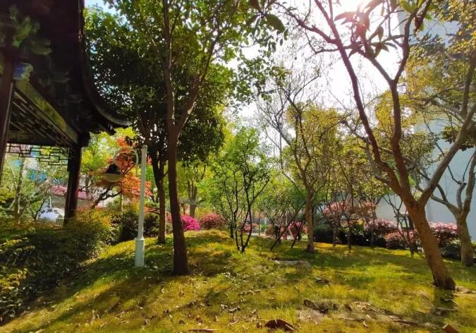 昆山地区十强中学,昆山市排名前十的中学有哪些