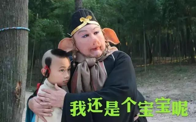 这一次我承认输给了“猪”！