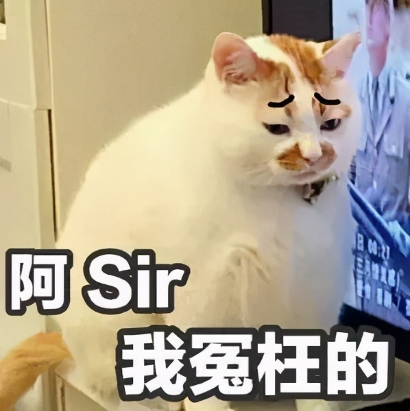 夏天干皮可以用控油的吗,一到夏天容易出油皮肤暗黄