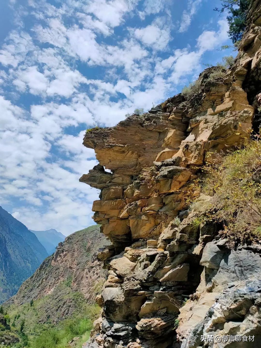 当你吃过黄香蕉苹果黄元帅就懂了现在藏区的小金冠苹果为何受欢迎