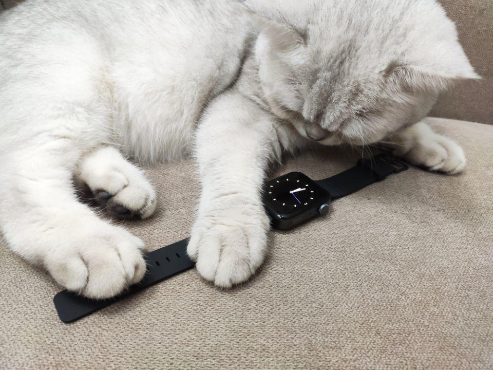 小米手表深度测评,小米手表开箱超长评测