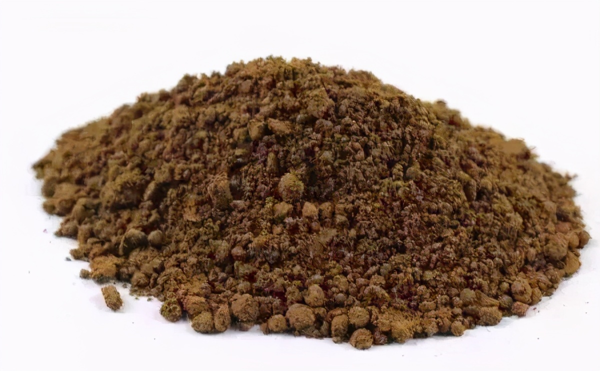 从零开始学养花入门,养花从小小的幼苗到大的说说