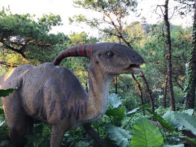 秋风起，乐园欢！东莞新晋游玩地标——隐贤山庄欢乐走起