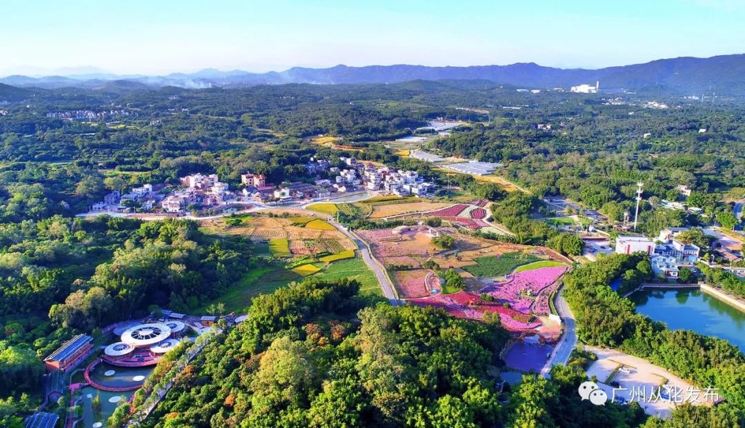 这个暑假去哪个地方玩不热,这个季节去从化有什么好玩的