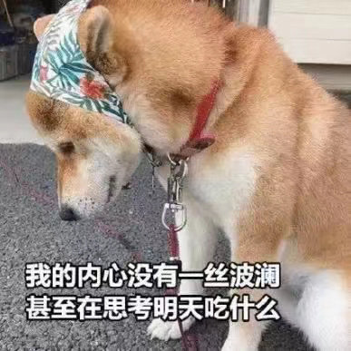 金馆长骂人斗图表情包图片全套,斗图表情包全套可爱