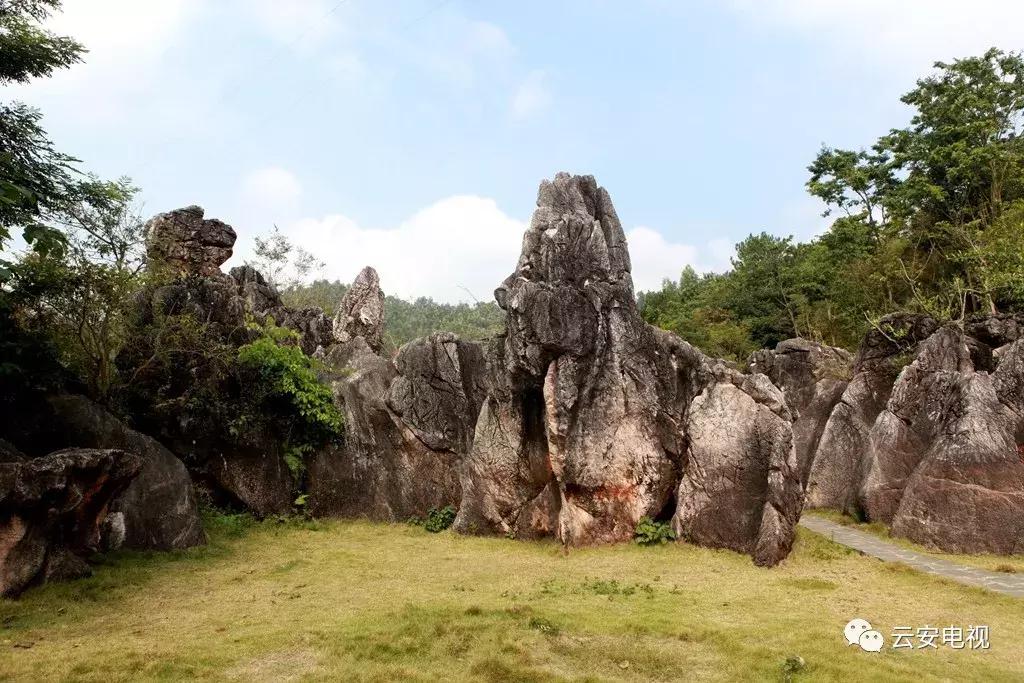 云雾山云遮雾绕，景象万千！重阳节，登高去