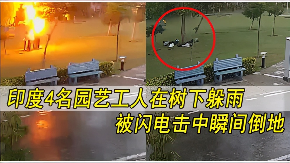 印度4男子树下避雨被闪电劈中,多名游客被雷击倒地