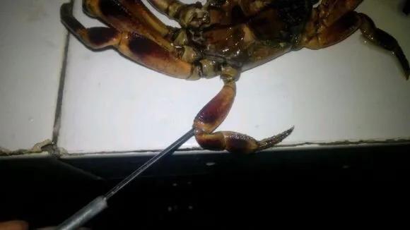 木兰笔记手写,木兰诗笔记重点