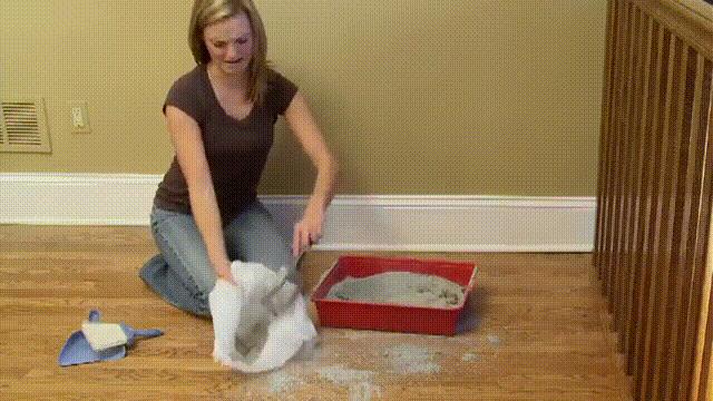 猫砂盆还没到猫咪乱拉怎么办,猫咪乱拉臭臭怎么办