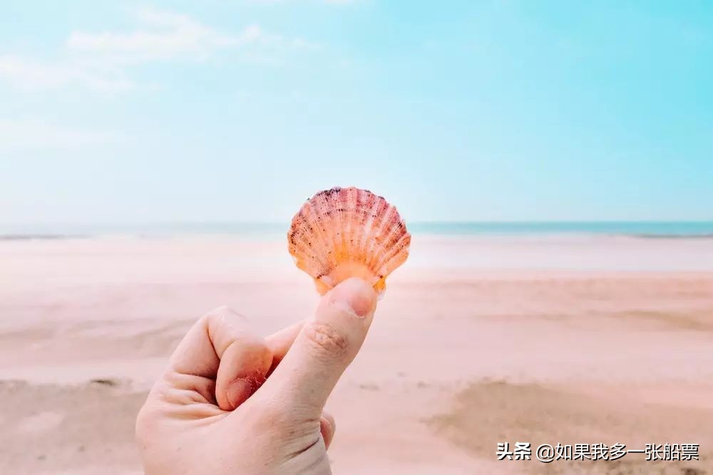 oppofindx3手机壳高颜值推荐,50块手机壳推荐