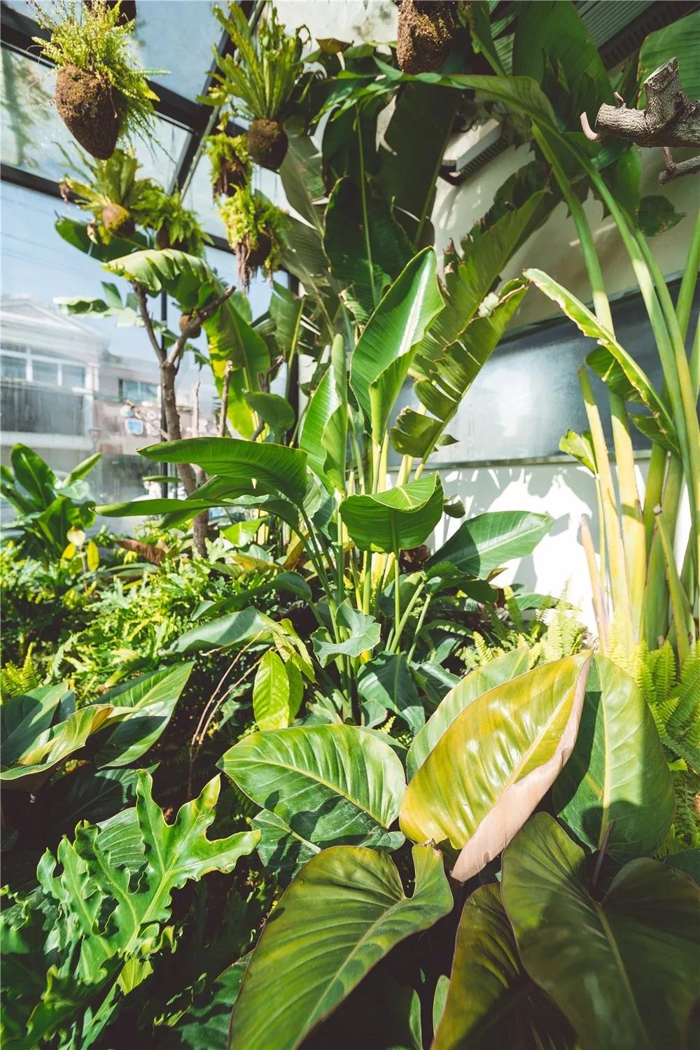 探秘!10000㎡打造世界烘焙商业新物种!!!(系列一)