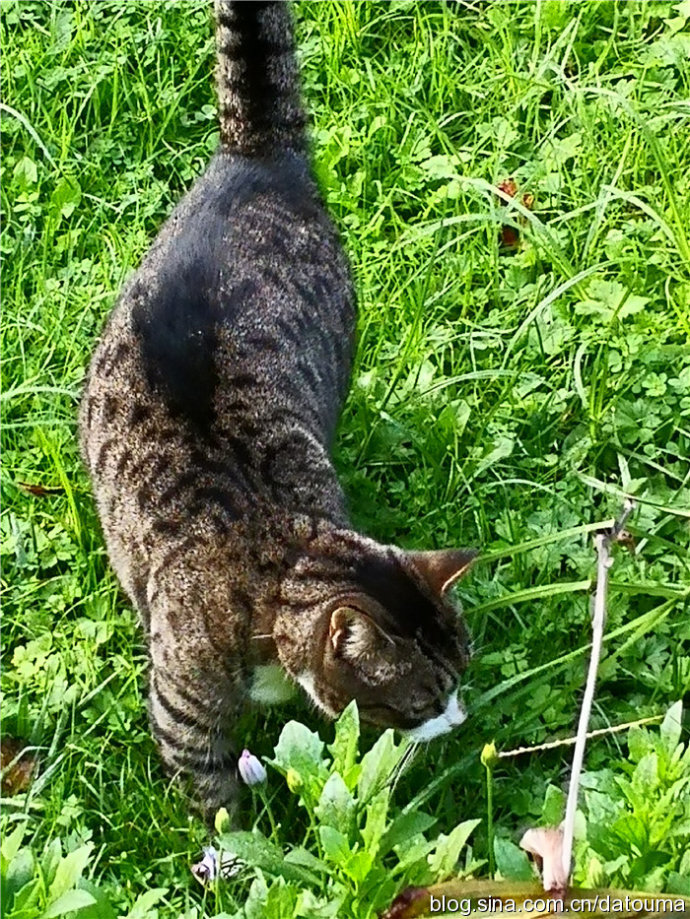 新西兰还有这等福利？