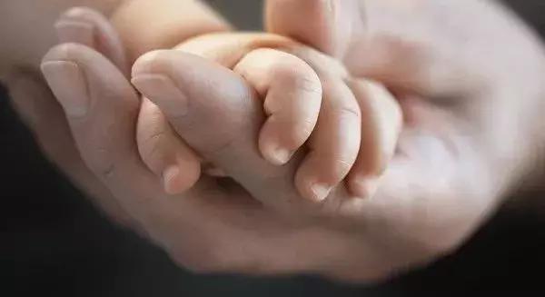 陕西的年轻人，不爱生娃了？