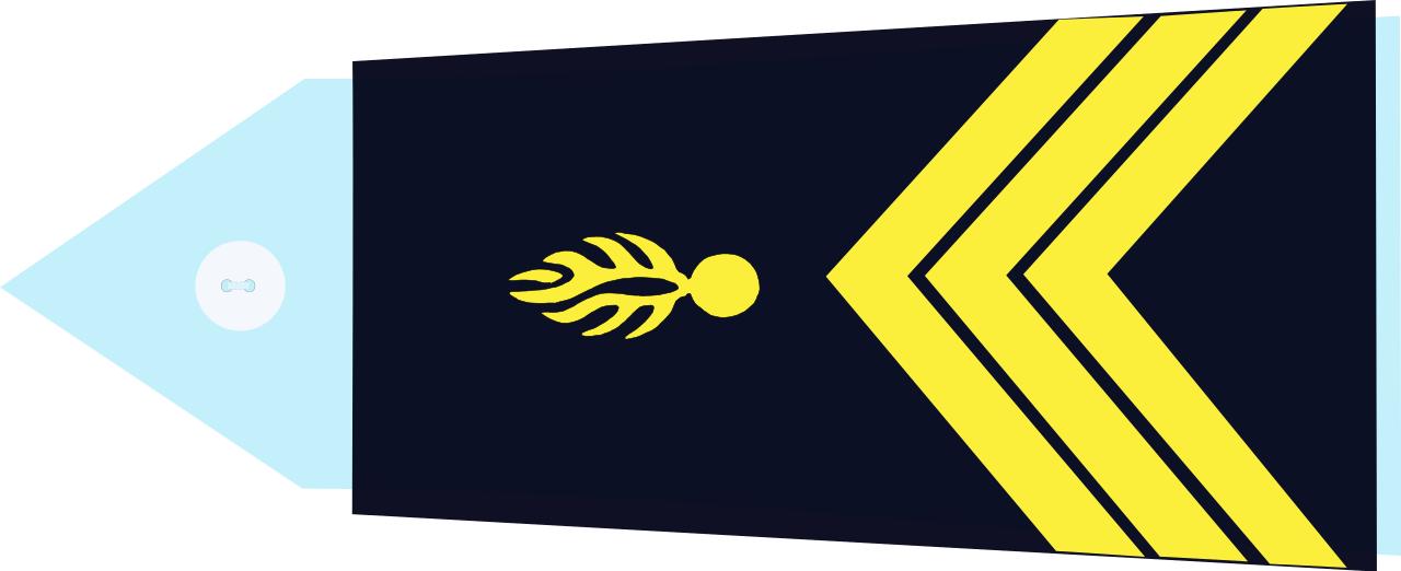 法国将军军衔等级,法国上校是什么军衔